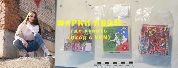 прущие грибы Абаза