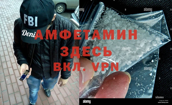 прущие грибы Абаза