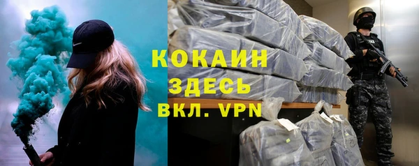 прущие грибы Абаза