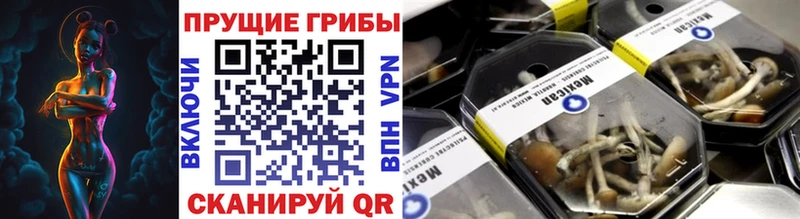 Псилоцибиновые грибы Cubensis Екатеринбург